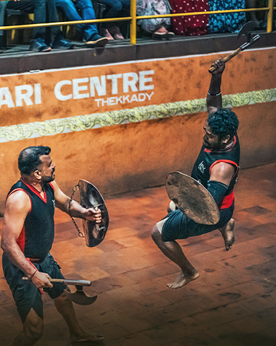  Kalarippayattu 