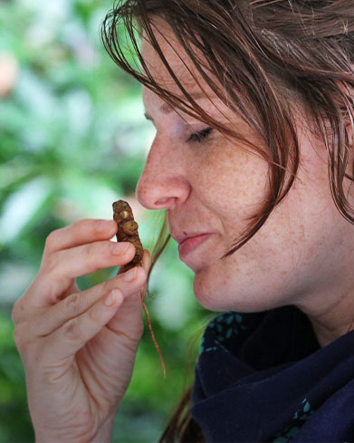  Spice Trade Trail 