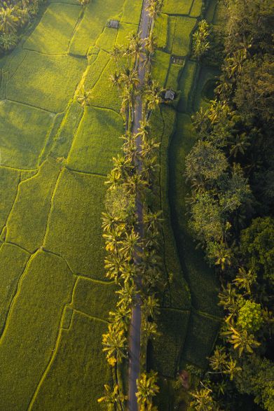 Cultural Tourism in Kerala: Balancing Heritage and Modern Travel