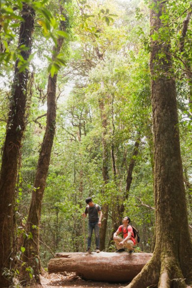How Eco Tourism Supports Biodiversity Conservation