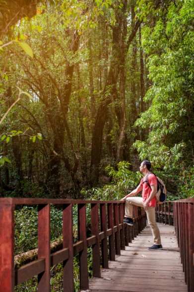 Eco Tourism Destinations in Kerala: What Makes Them Sustainable?